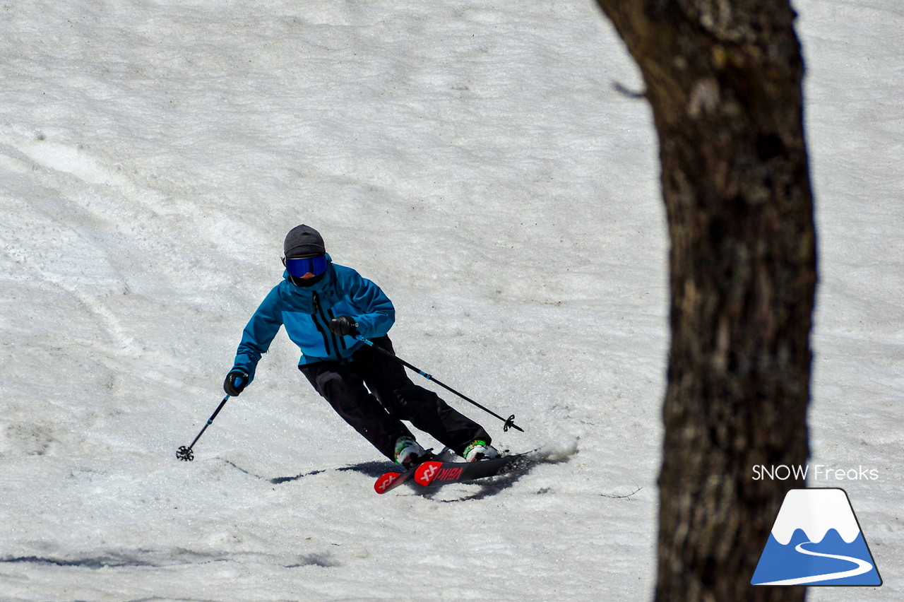 ニセコグラン・ヒラフ DYNASTAR SKI TEST RIDE DAYS Photo Session!!最高の天気に恵まれたニセコに、最高の仲間たちが集まりました☆